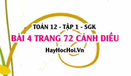 Bài 4 trang 72 Toán 12 tập 1 Cánh Diều